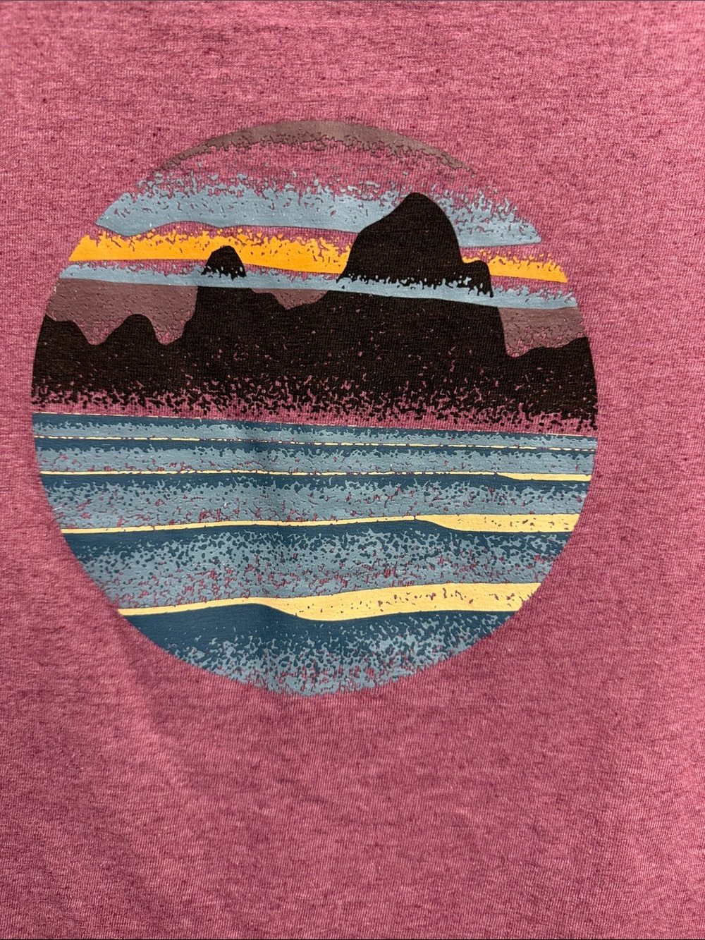 Patagonia Pink Short-Sleeve Crew Tee with Mountain Logo - Picture 5 of 7